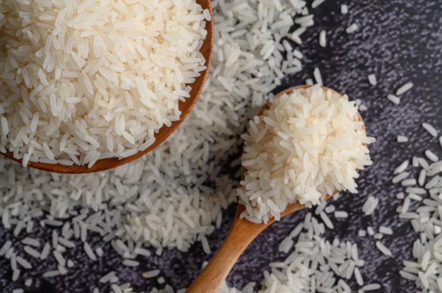 Gallery Rice